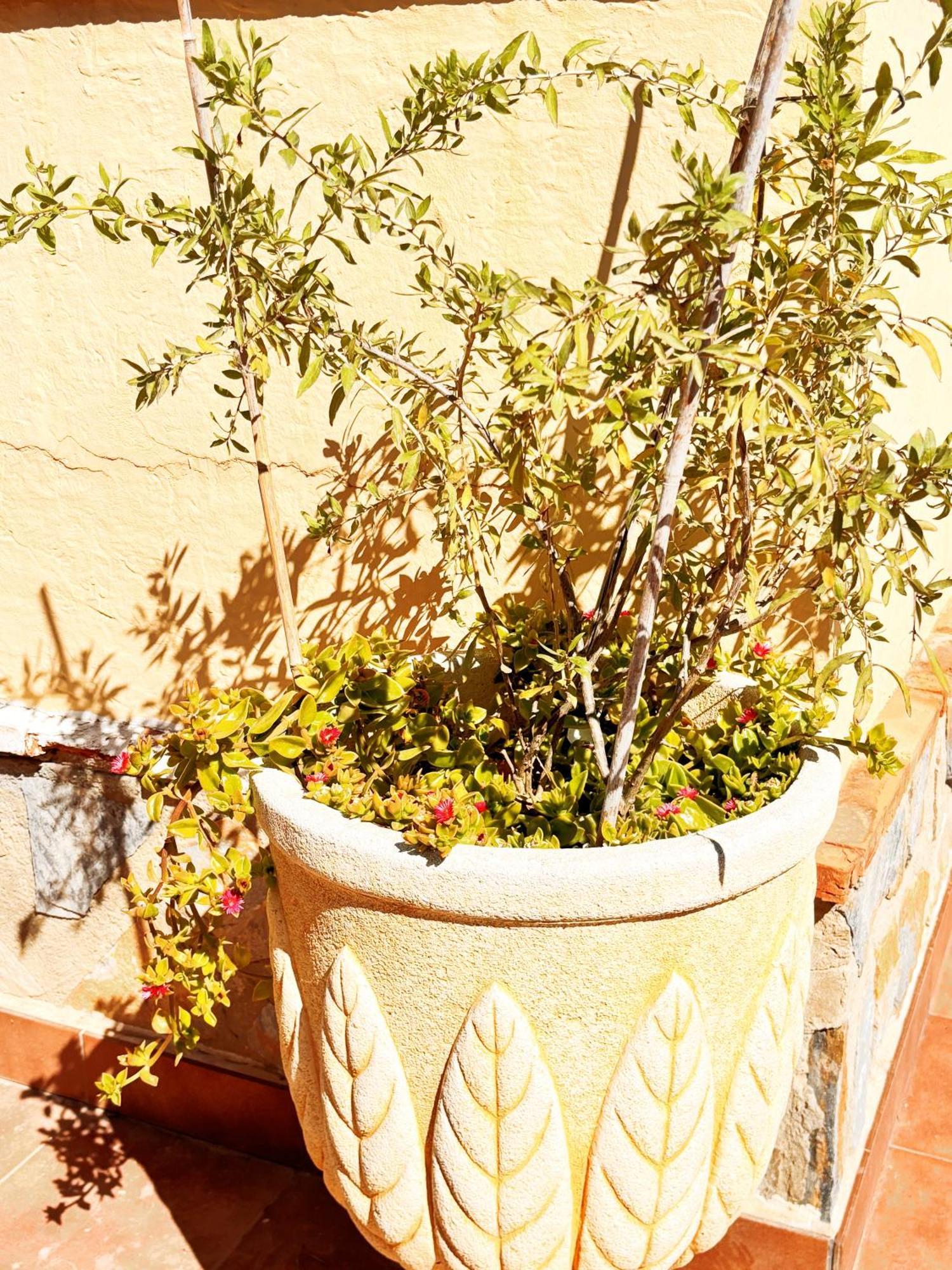 Villa Sol סיודאד קסאדה מראה חיצוני תמונה